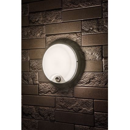 Rabalux - Aplică LED de exterior cu senzor LED/18W/230V IP65 neagră