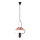 Rabalux - Lustra cu lant 1xE27/60W/230V