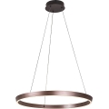 Rabalux - Lustră LED reglabilă pe cablu LED/36W/230V 3000-6500K + telecomandă
