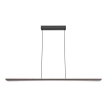 Rabalux - Pendul LED pe cablu, 40 W, 230 V, 3000 K