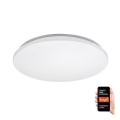 Rabalux - Plafonier LED RGB reglabil, LED/24W/230V Wi-Fi Tuya 3000-6500K, diametru 31 cm