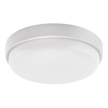 Rabalux - Plafonieră de exterior LED LED/14W/230V IP54 albă