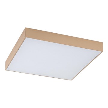 Rabalux - Plafonieră LED de baie LED/24W/230V 2800/4000/6000K IP44