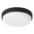 Rabalux - Plafonieră LED de exterior LED/14W/230V IP54 neagră