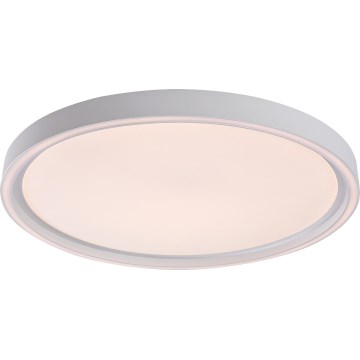 Rabalux - Plafonieră LED dimabilă, 31W/230V, IP40, 3000-6500K, Ø 41,5 cm + telecomandă