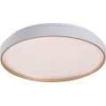 Rabalux - Plafonieră LED dimabilă, 34 W, 230 V, 3000-6500 K, Ø 38 cm + telecomandă