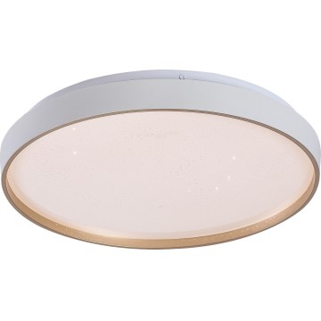 Rabalux - Plafonieră LED dimabilă, 34 W, 230 V, 3000-6500 K, Ø 38 cm + telecomandă
