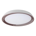 Rabalux - Plafonieră LED dimabilă 36W/230V Ø 51,5 cm