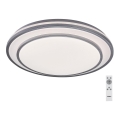 Rabalux - Plafonieră LED dimabilă 40W/230V 3000-6500K, argintie, Ø 49 cm + telecomandă
