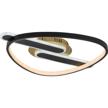 Rabalux - Plafonieră LED dimabilă 60W/230V 3000-6000K 53x45 cm + telecomandă