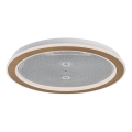 Rabalux - Plafonieră LED dimabilă LED/34W/230V 3000-6500K Ø 51 cm + telecomandă
