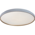 Rabalux - Plafonieră LED dimabilă LED/60W/230V 3000-6500K Ø 58 cm + telecomandă
