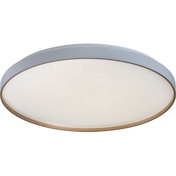 Rabalux - Plafonieră LED dimabilă LED/80W/230V 3000-6500K Ø 77 cm + telecomandă
