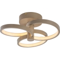 Rabalux - Plafonieră LED dimerizabilă 32W/230V 3000–6500K, Ø 31 cm, bej, cu telecomandă