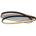 Rabalux - Plafonieră LED reglabilă, 57W, 230V, 3000–6000K, 53 x 38 cm, cu telecomandă