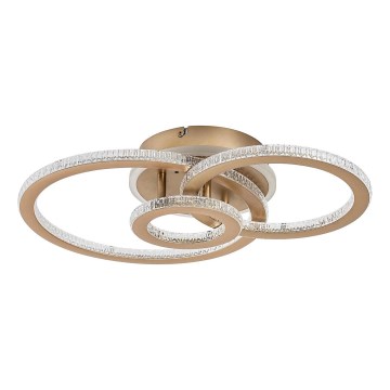 Rabalux - Plafonieră LED reglabilă LED/40W/230V 3000-6500K + telecomandă