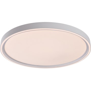 Rabalux - Plafonieră LED reglabilă LED/54W/230V IP40 3000-6500K Ø 52 cm + telecomandă