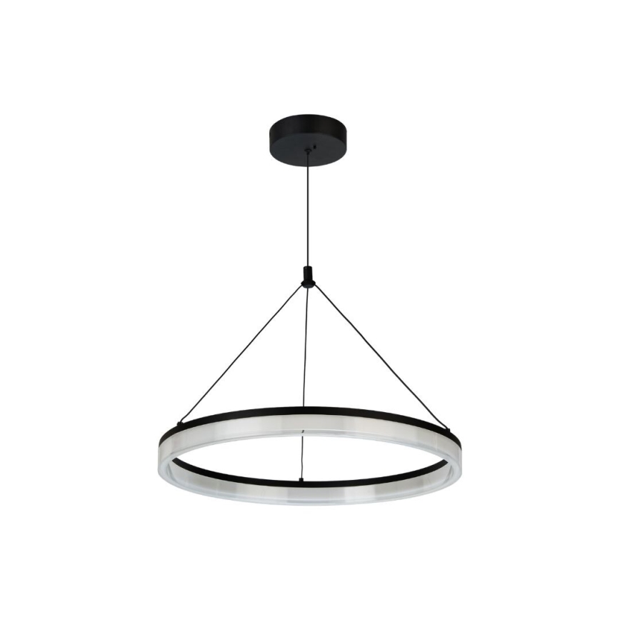 Rabalux - Lustra LED reglabilă suspendată pe cablu LED/24W/230V 3000-6500K + telecomandă