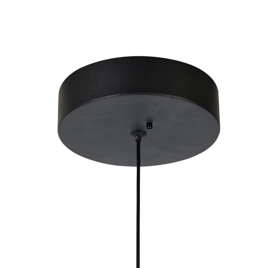 Rabalux - Lustra LED reglabilă suspendată pe cablu LED/24W/230V 3000-6500K + telecomandă