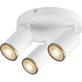 Rabalux - Spot 3x GU10/15W/230V, alb