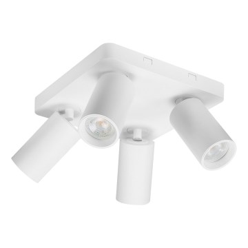 Rabalux - Spot aplicat cu 4xGU10/7W/230V, alb