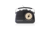 Radio FM 4,5W/230V negru