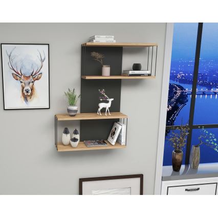 Raft de perete DESTAN 65x96x19 cm antracit/maro