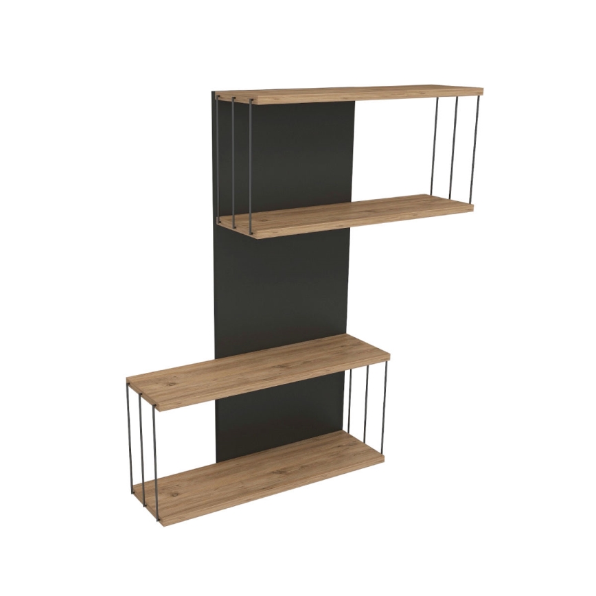 Raft de perete DESTAN 65x96x19 cm antracit/maro