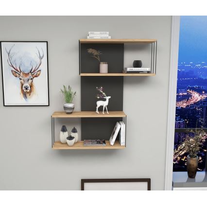 Raft de perete DESTAN 96 x 65 cm, antracit/maro