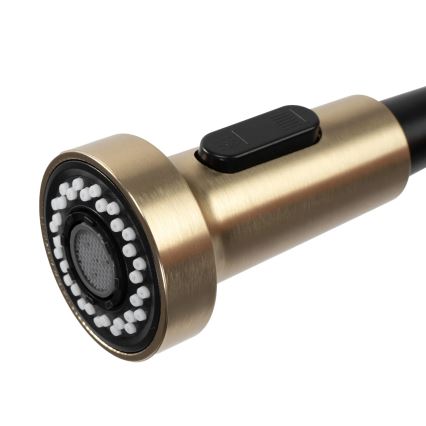 REA-B4821 - Baterie pentru chiuvetă COLIN, cu pulverizator extractibil, 42,5 cm, aur periat