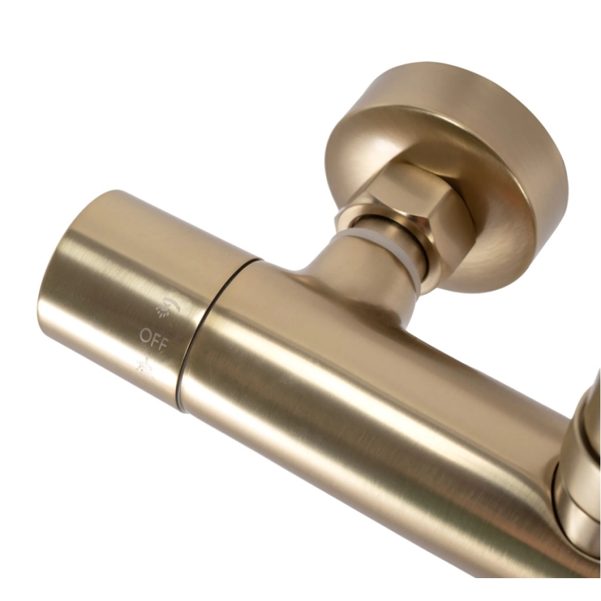 REA-P2323 - Set de duș PAROT cu baterie termostatică, finisaj auriu periat