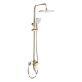 REA-P7841 - Set de duș ARGUS cu baterie, finisaj auriu periat