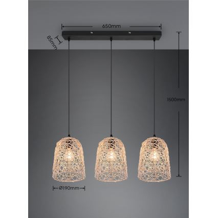 Reality - Lustră suspendată pe cablu LOVIS, 3xE27/40W/230V, negru