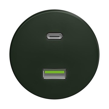 Reblig - Priză USB retro A+C, fără ramă, verde