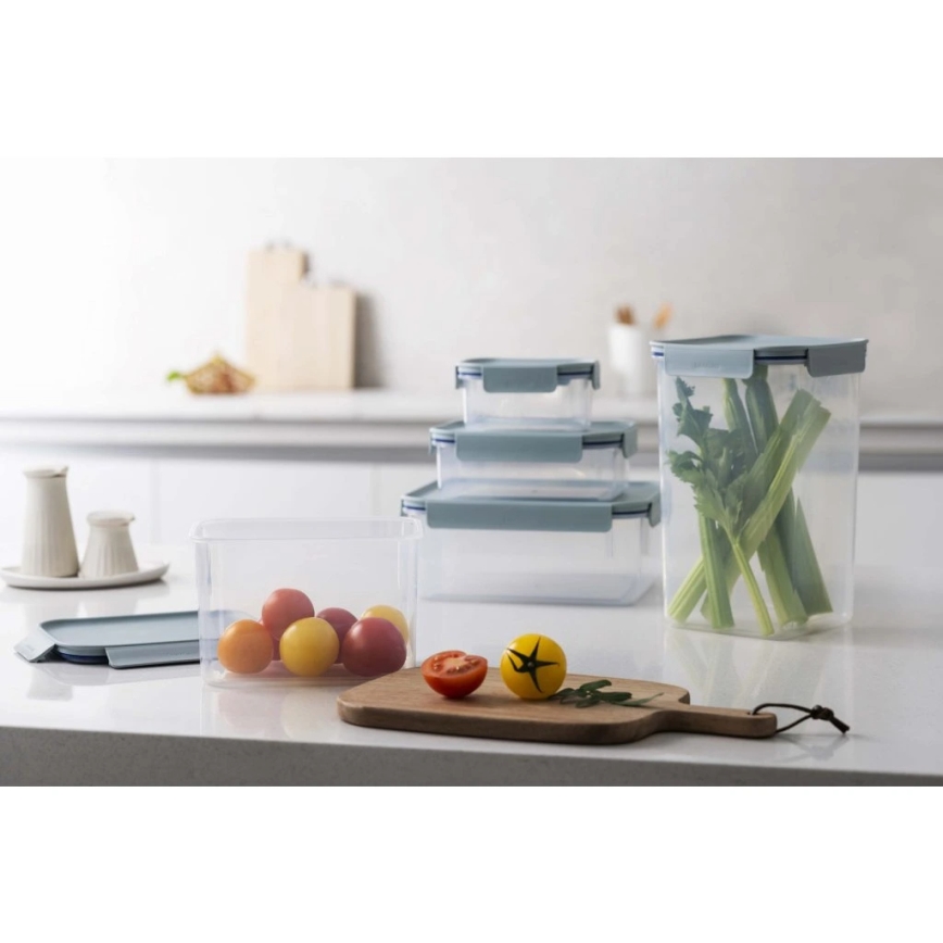 Recipient pentru alimente CLASSIC PLUS 0,91 l albastru/transparent