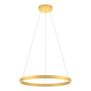 Redo 01-2865 - Lustra LED reglabilă pe cablu FEBE LED/37W/230V aurie