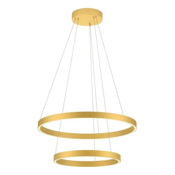 Redo 01-2889 - Lustru LED reglabil pe cablu FEBE LED/62W/230V auriu