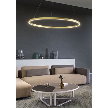 Redo 01-2889 - Lustru LED reglabil pe cablu FEBE LED/62W/230V auriu