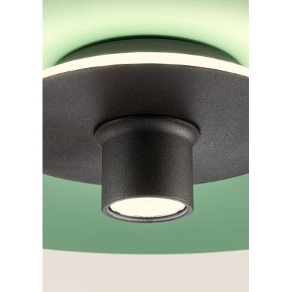 Redo LARS 01-3019 – lustră LED suspendată pe cablu, LED 14W/230V + LED 10W, Ø 60 cm, CRI 90, verde