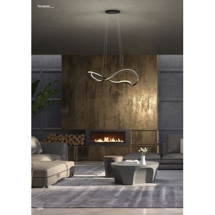 Redo 01-3599 - Lustră LED dimmabilă suspendată pe cablu TEMPEST LED/58W/230V, negru