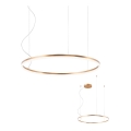 Redo 01-4877 - Lustră LED dimabilă pe cablu ORBIT LED/55W/230V 2700/3000K bronz