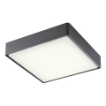 Redo 90158 - Plafonieră LED exterior MARINA 1xLED/16W/230V IP65