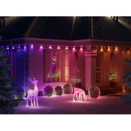Ren LED RGBW dimabil de Crăciun de exterior Twinkly REINGEERS 240xLED IP44 Wi-Fi