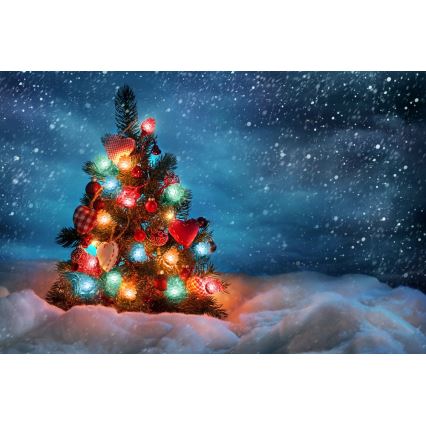 Ghirlandă LED de exterior pentru Crăciun 40xLED/15m IP44 multicolor