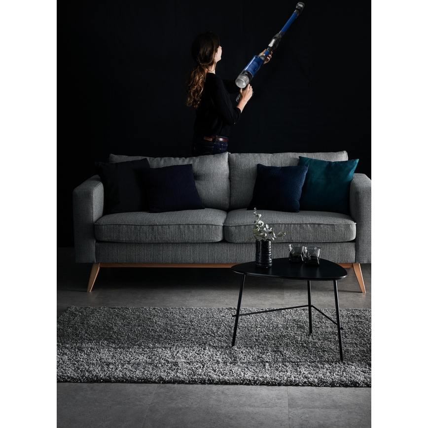 Rowenta - Aspirator vertical X-FORCE FLEX 250W/18V