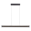 Schöner Wohnen 11316-18 - Lustră LED dimmabilă pe cablu LENA LED/32W/230V 105 cm neagră