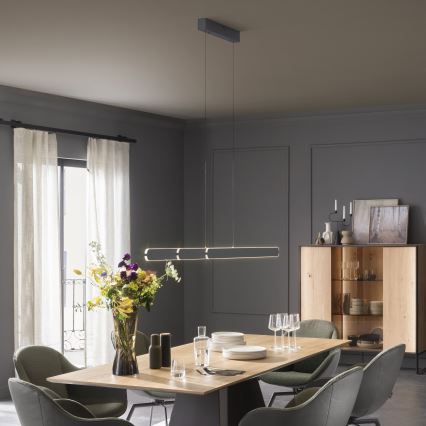 Schöner Wohnen 12577-18 - Lustră LED dimabilă pe cablu ADRIANA ROUND 2xLED/24W/230V 2700/3000/3500/4000/5000K 160 cm neagră