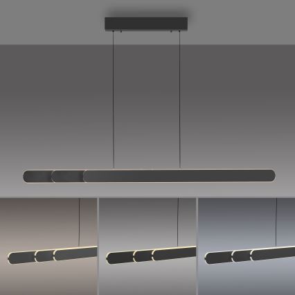 Schöner Wohnen 12577-18 - Lustră LED dimabilă pe cablu ADRIANA ROUND 2xLED/24W/230V 2700/3000/3500/4000/5000K 160 cm neagră
