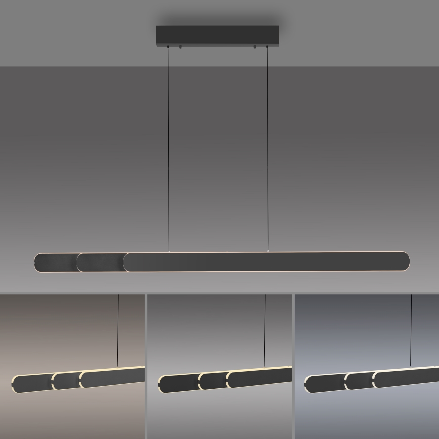 Schöner Wohnen 12577-18 - Lustră LED dimabilă pe cablu ADRIANA ROUND 2xLED/24W/230V 2700/3000/3500/4000/5000K 160 cm neagră