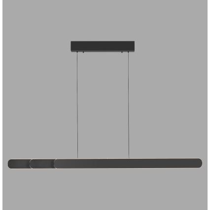 Schöner Wohnen 12577-18 - Lustră LED dimabilă pe cablu ADRIANA ROUND 2xLED/24W/230V 2700/3000/3500/4000/5000K 160 cm neagră